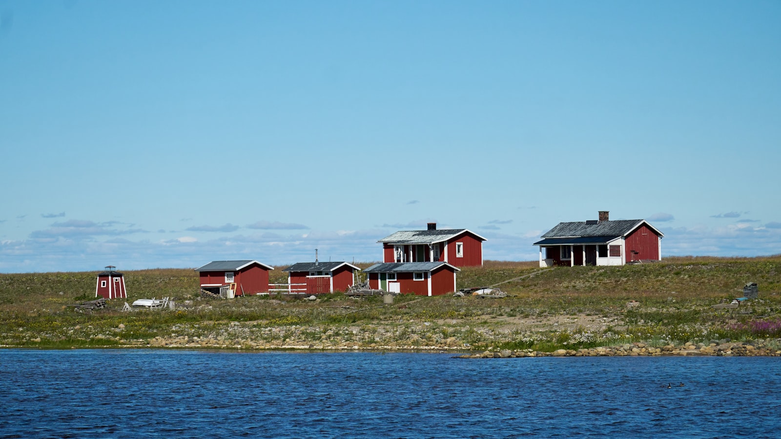 Lindy Hop in Europe: From Harlem to Herräng